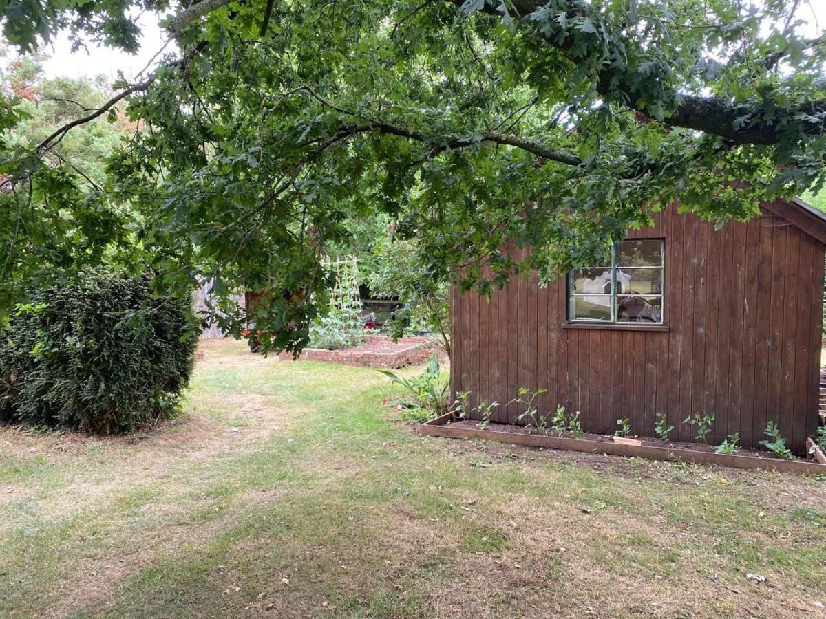 Orchard Cabin Herefordshire Wye Valley Ross-on-Wye Esterno foto